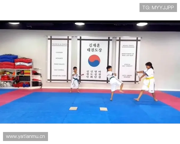 科学高效的跆拳道训练计划与技巧提升方案全面解析 科学高效的跆拳道训练计划与技巧提升方案全面解析